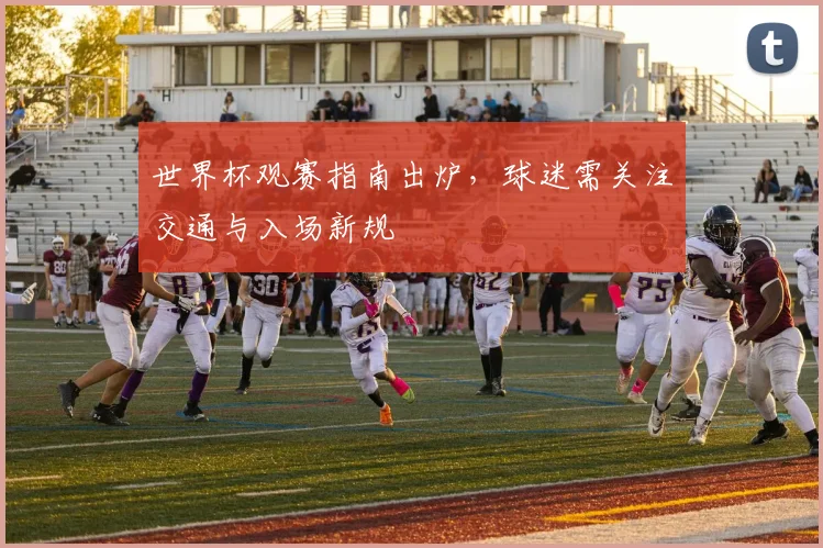 世界杯观赛指南出炉，球迷需关注交通与入场新规