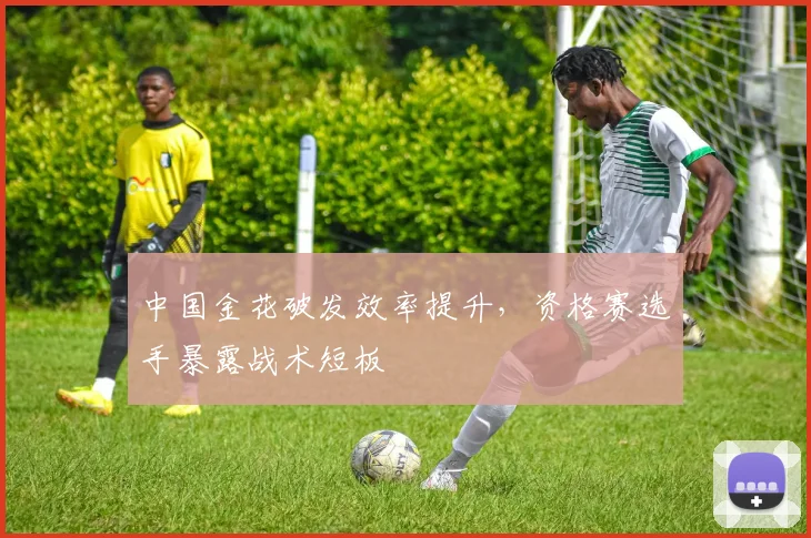 中国金花破发效率提升，资格赛选手暴露战术短板