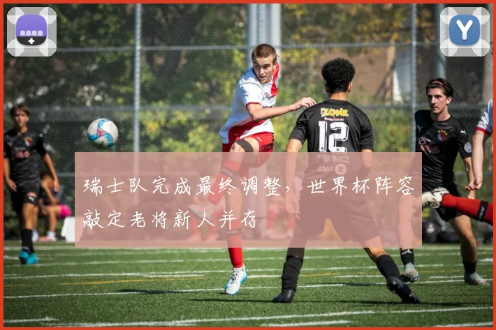 瑞士队完成最终调整，世界杯阵容敲定老将新人并存